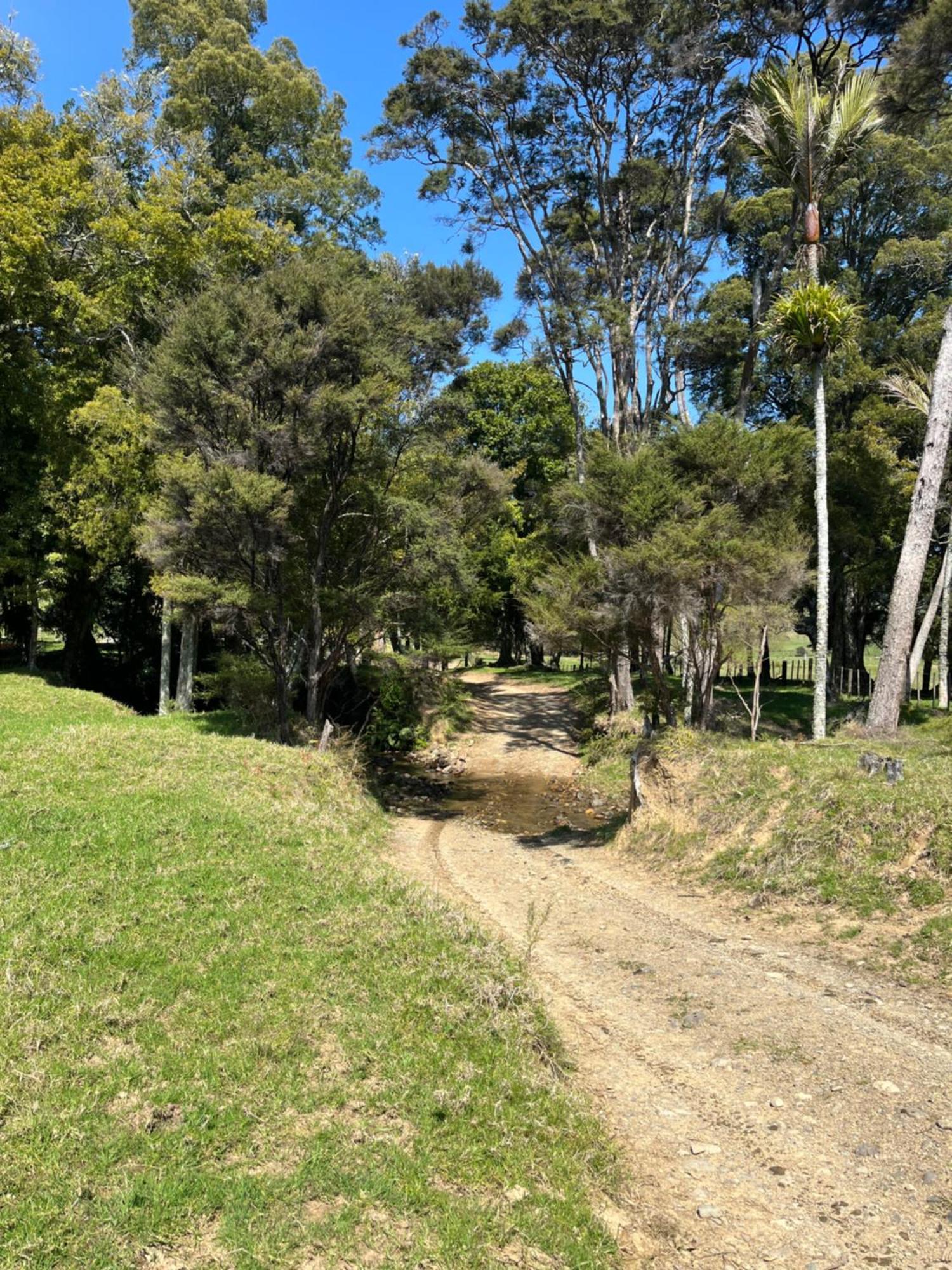 White Star Station Farm Holiday Park Coromandel Exteriér fotografie