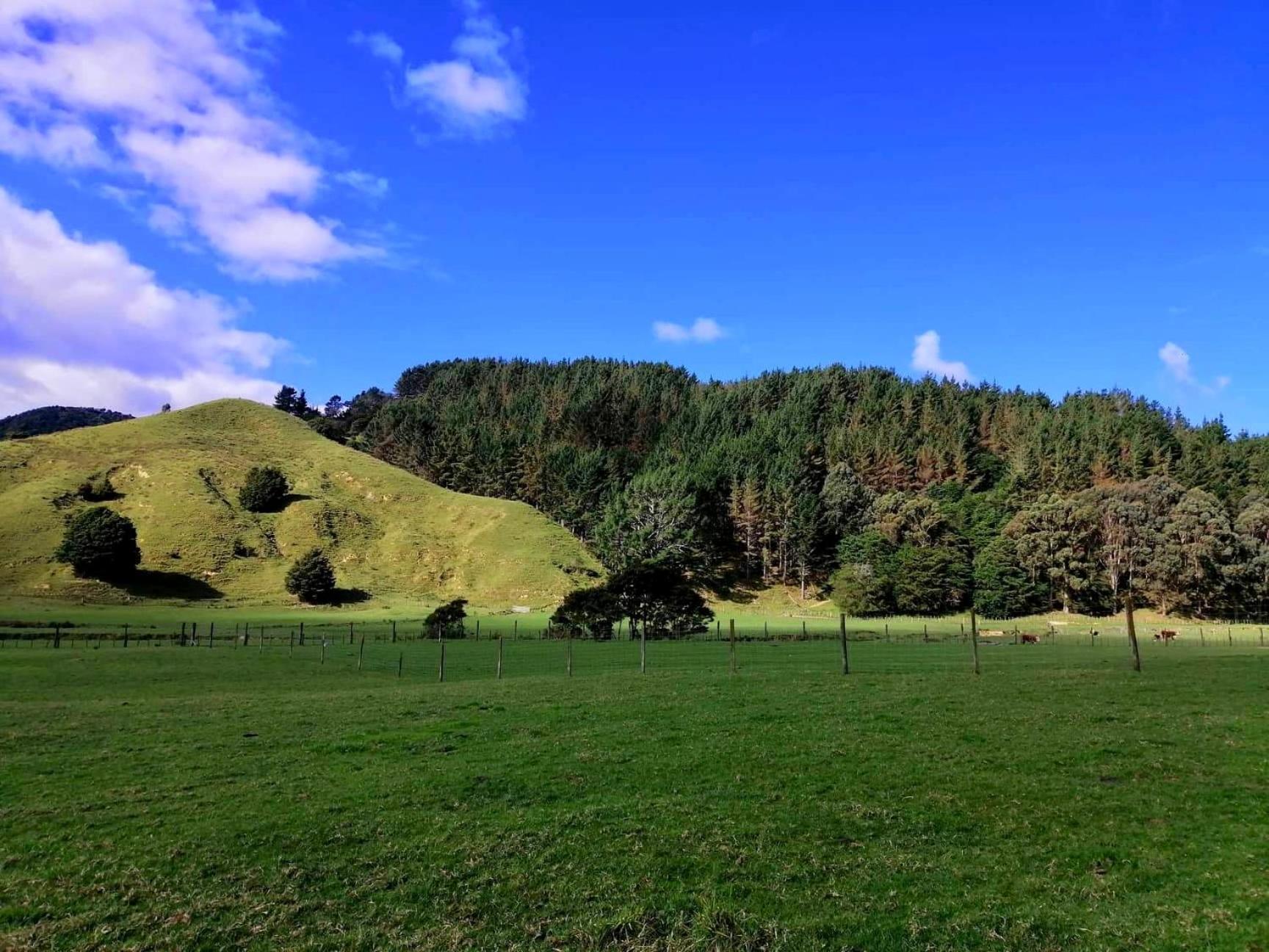 White Star Station Farm Holiday Park Coromandel Exteriér fotografie