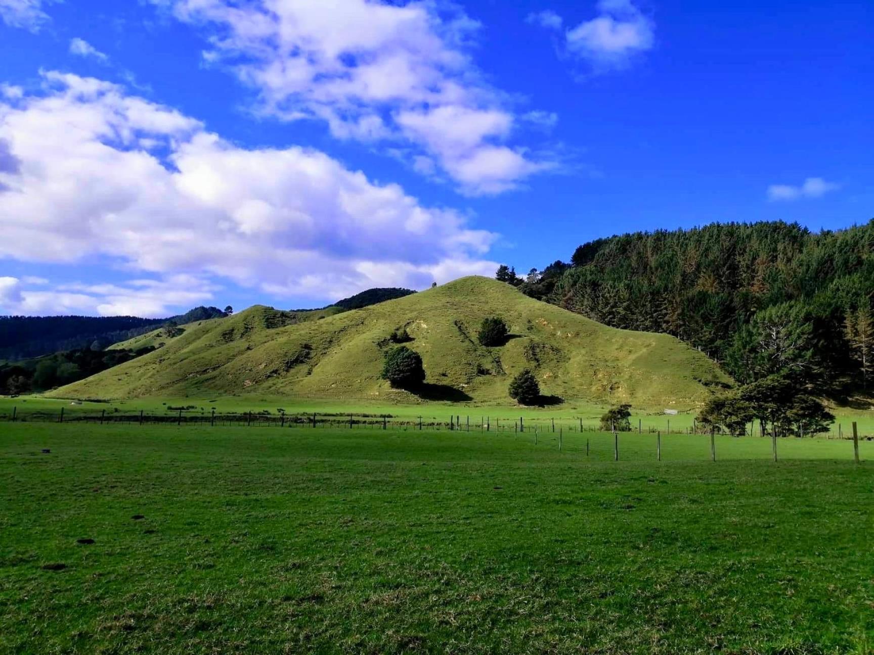 White Star Station Farm Holiday Park Coromandel Exteriér fotografie